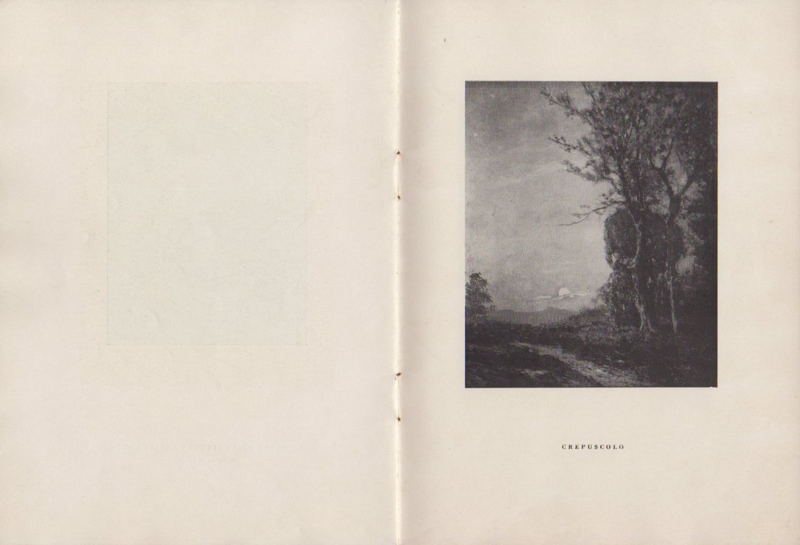 Articoli 018